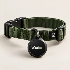 WagTag Smart Tag — Single